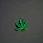 Krakow Cannabis: Dispensary, Delivery, and Legal Guide img-1149.jpg