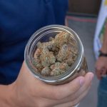 Welcome to your one‑stop guide for buying high‑quality THC‑rich weed in Bari, Italy img-2237.jpg