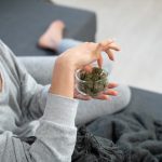 Mannheim cannabis shop img-2730.jpg