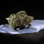 Ultimate Guide to Cannabis Culture Denmark: Copenhagen Cannabis Dispensary 2024 img-300.jpg