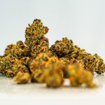 Oslo Weed Shop img-3014.jpg