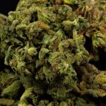 THC Weed in Dublin: Legal Landscape, Buying Guide, and European Service img-398.jpg