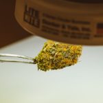 420 Shop Dresden img-623.jpg