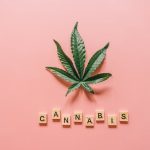 Cannabis Shop Germany High‑Quality THC‑Rich Marijuana and Legal Cannabis Delivery img-78.jpg