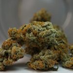 Espoo Cannabis Shops: A Guide to 420, Weed, and Medical Marijuana img-999.jpg